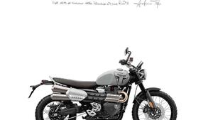 Triumph Scrambler 1200 X (2024 - 25) 