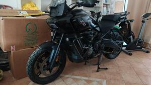 Harley-Davidson Pan America 1250 (2020 - 25) 