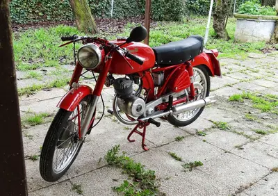 Benelli LEONCINO  - Annuncio 9652774