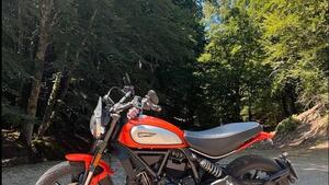 Ducati Scrambler 800 Icon (2017 - 20) 