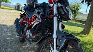 Benelli BN 125 (2021 - 25) 