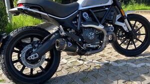 Ducati Scrambler 800 Icon (2017 - 20) 