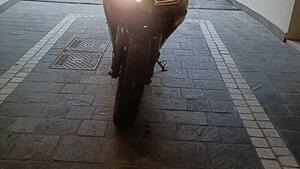 Kawasaki Ninja 300 ABS (2012 - 16) 