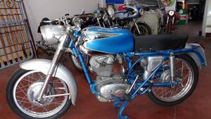 Ducati  