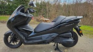Honda Forza 300 ABS (2013 - 17) 