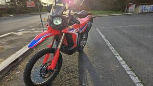 Honda CRF 300 Rally (2021 - 24) 