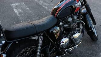 Triumph Bonneville T100 (2001 - 07) usata