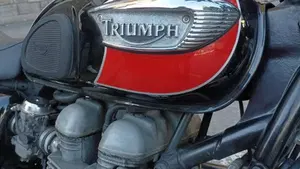 Triumph Bonneville T100 (2001 - 07)  (2)