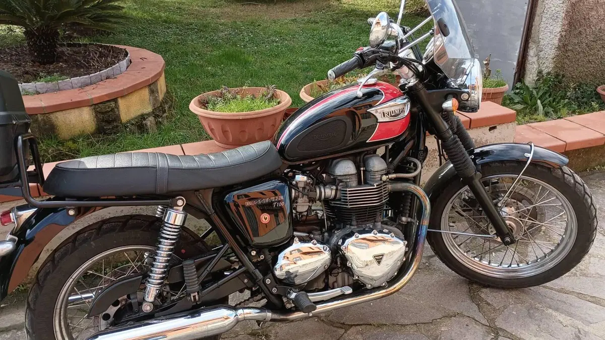 Triumph Bonneville T100 (2001 - 07)  (5)