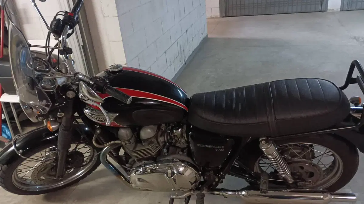Triumph Bonneville T100 (2001 - 07)  (7)