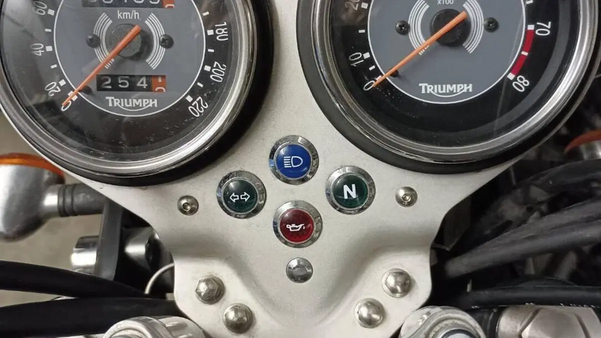 Triumph Bonneville T100 (2001 - 07)  (9)