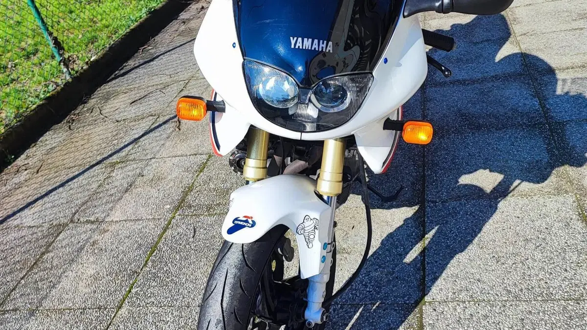 Yamaha SZR 660 Super Single (1995 - 97)  (5)