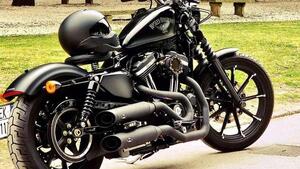 Harley-Davidson 883 Iron (2017 - 20) - XL 883N 