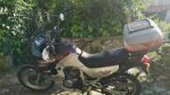 Honda Transalp XL 600V (1991 - 93) usata