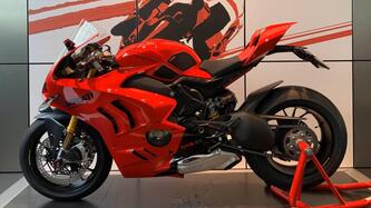 Ducati Panigale V4 S (2022 - 24) usata