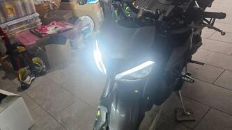 Triumph Street Triple 765 R (2023 - 25) usata