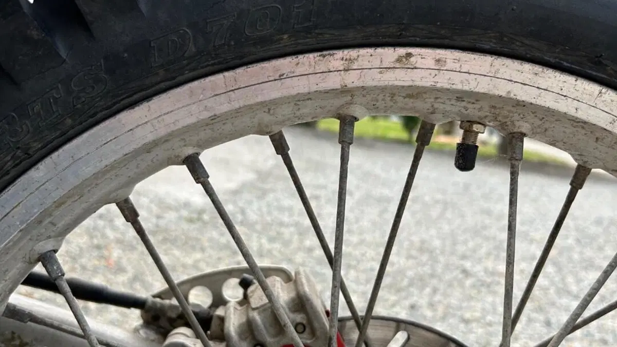 Yamaha   (10)
