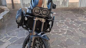 Ducati DesertX (2022 - 25) usata