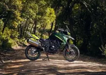 Motodays 2025. Dalla TRK 702 alle BKX: tutti i modelli Benelli che troverete in fiera