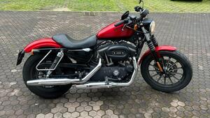 Harley-Davidson 883 Iron (2012 - 14) - XL 883N 