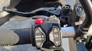 Ducati DesertX (2022 - 25) 