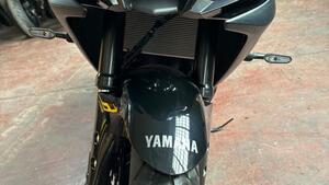 Yamaha YZF R3 (2021 - 24) 