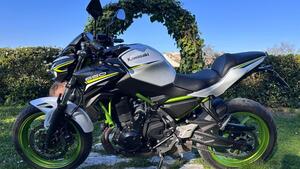 Kawasaki Z 650 (2021 - 24) 