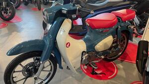 Honda Super Cub C125 (2022 - 24) 
