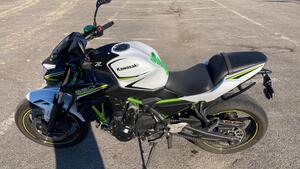 Kawasaki Z 650 Performance (2021 - 24) 