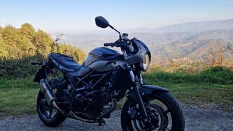 Suzuki SV 650 X (2018 - 20) usata