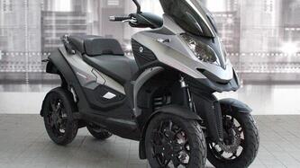Quadro Quadro 4 (2015 - 17) nuova