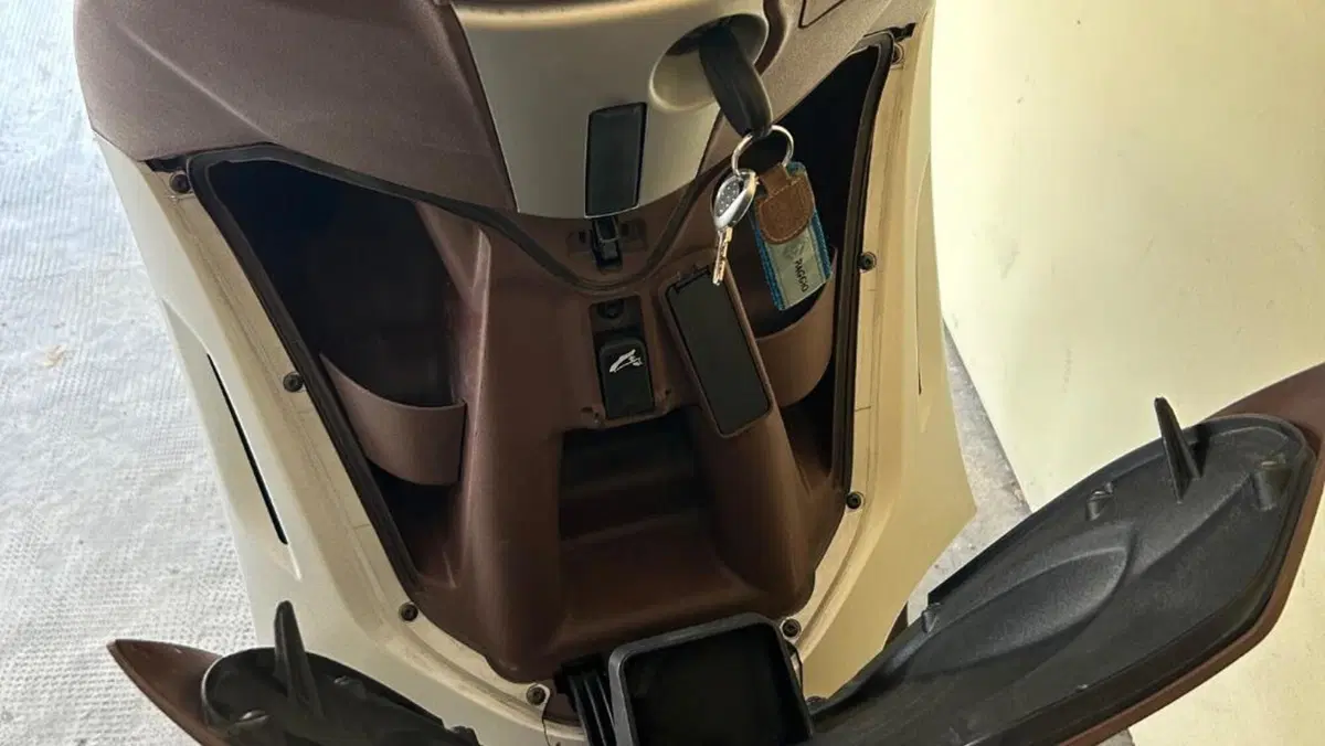 Piaggio Beverly 300 i.e. ABS-ASR (2016 - 20)  (6)