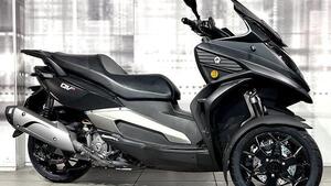 Quadro QV3 350 (2018 - 19) 