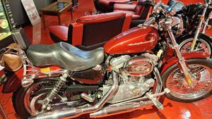 Harley-Davidson 883 (2006 - 07) - XL 