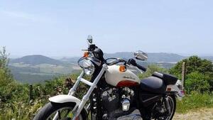 Harley-Davidson 883 SuperLow (2010 - 16) - XL 883L 