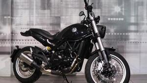 Benelli Leoncino 500 (2021 - 25) 