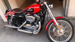 Harley-Davidson 1200 Custom (2007 - 13) - XL 1200C  (3)