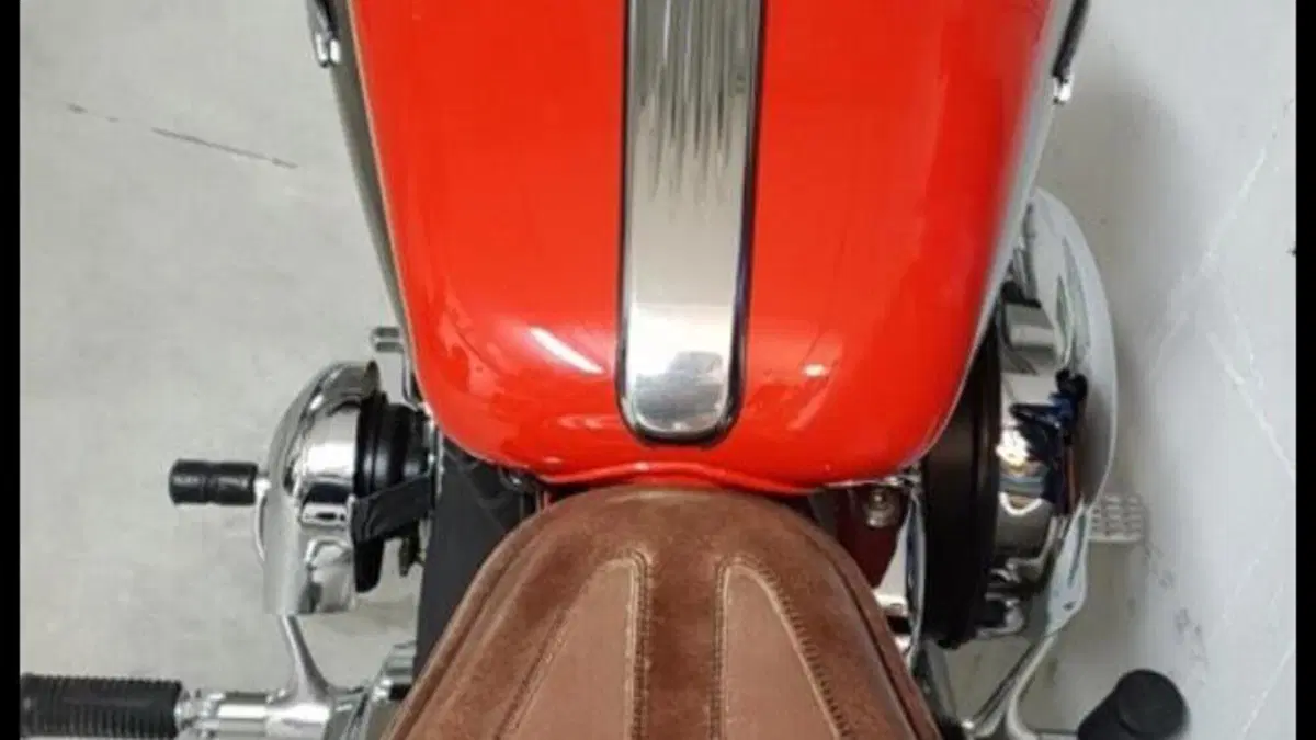 Harley-Davidson 1200 Custom (2007 - 13) - XL 1200C  (5)