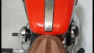 Harley-Davidson 1200 Custom (2007 - 13) - XL 1200C  (5)