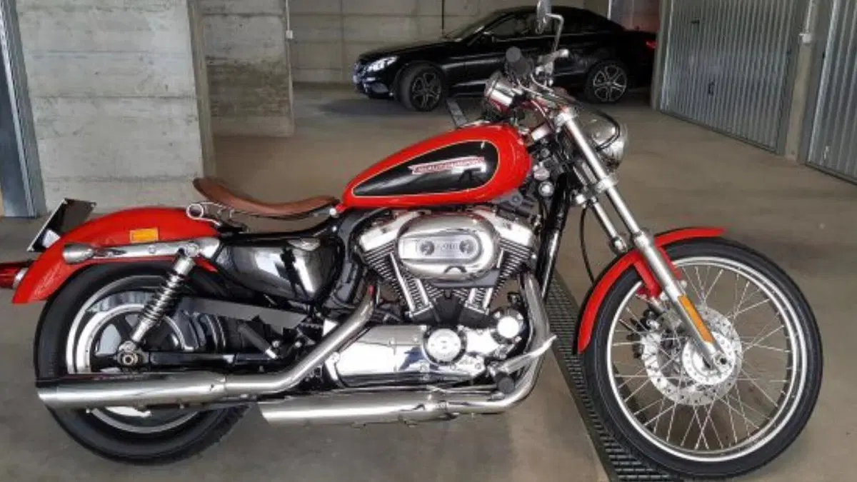 Harley-Davidson 1200 Custom (2007 - 13) - XL 1200C  (7)