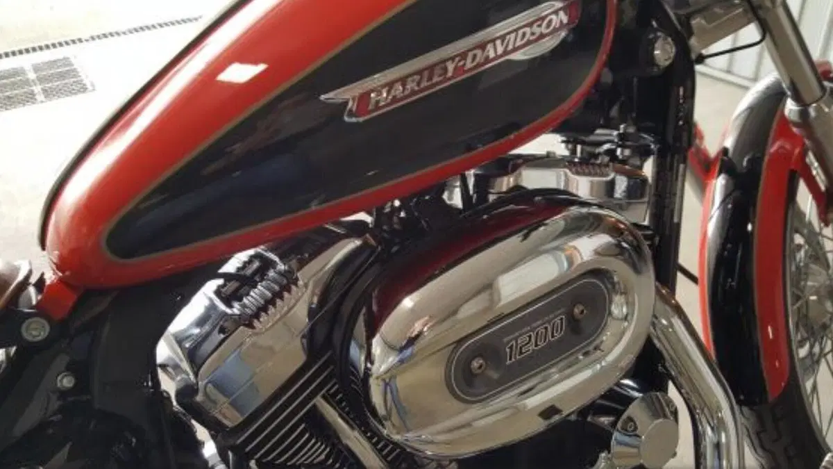 Harley-Davidson 1200 Custom (2007 - 13) - XL 1200C  (8)