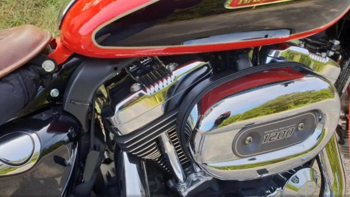 Harley-Davidson 1200 Custom (2007 - 13) - XL 1200C  (10)