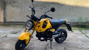 Honda MSX 125 Grom (2021 - 25)