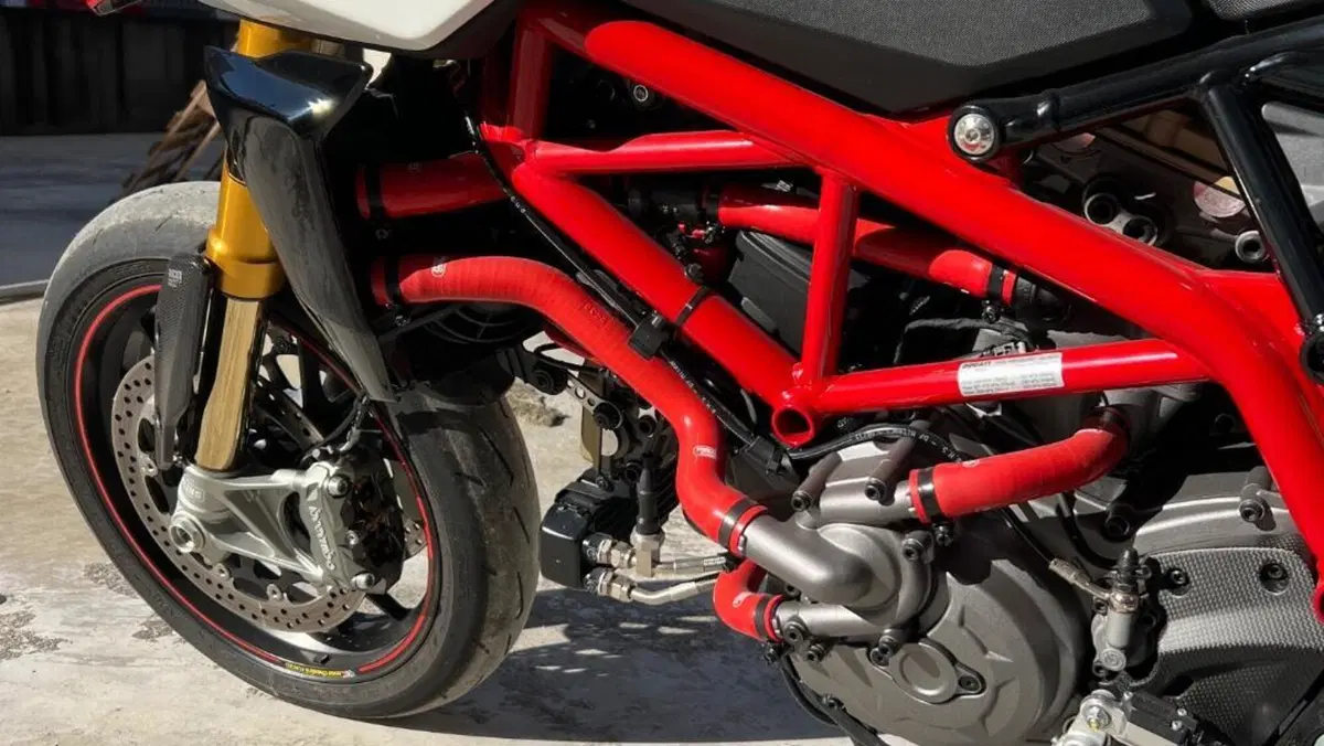 Ducati Hypermotard 950 SP (2019 - 20)  (9)