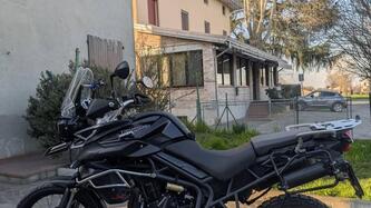 Triumph Tiger 800 XC ABS (2010 - 14) usata