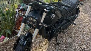 Benelli Leoncino 500 (2021 - 25) 