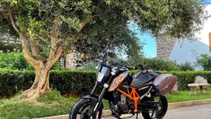 KTM 690 Duke (2012 - 16)  (6)