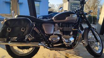 Triumph Bonneville T100 (2008 - 16) usata