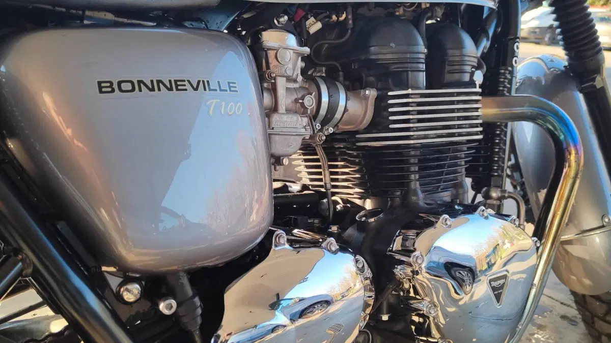 Triumph Bonneville T100 (2008 - 16)  (3)