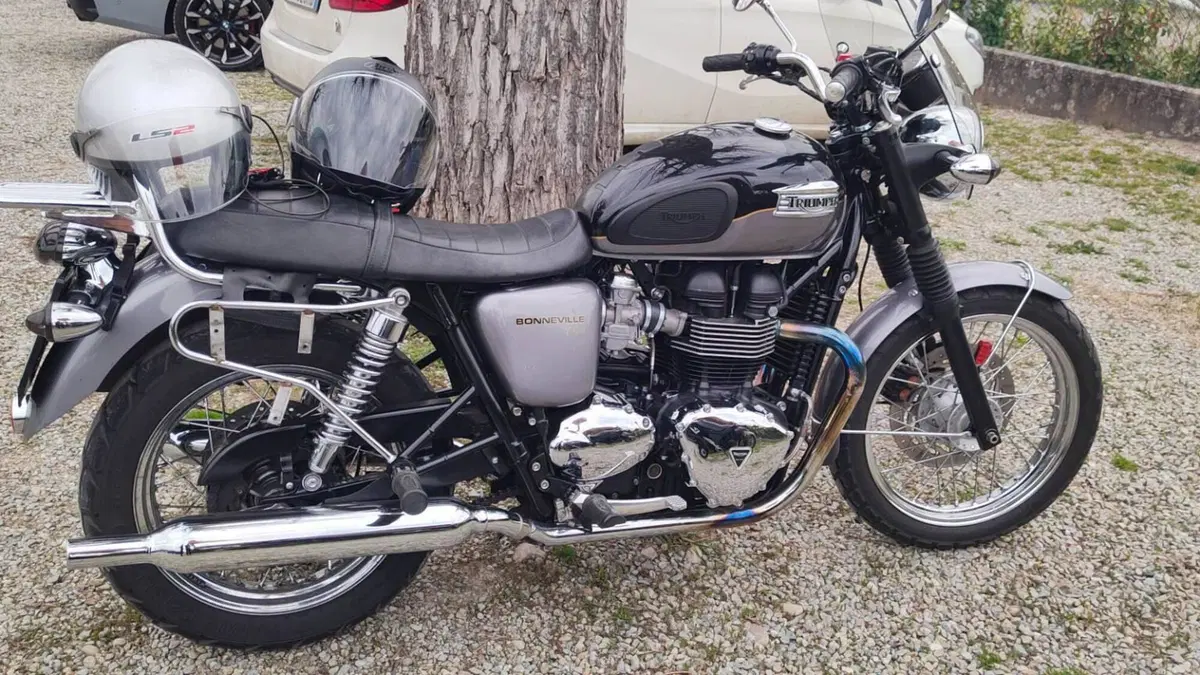 Triumph Bonneville T100 (2008 - 16)  (5)